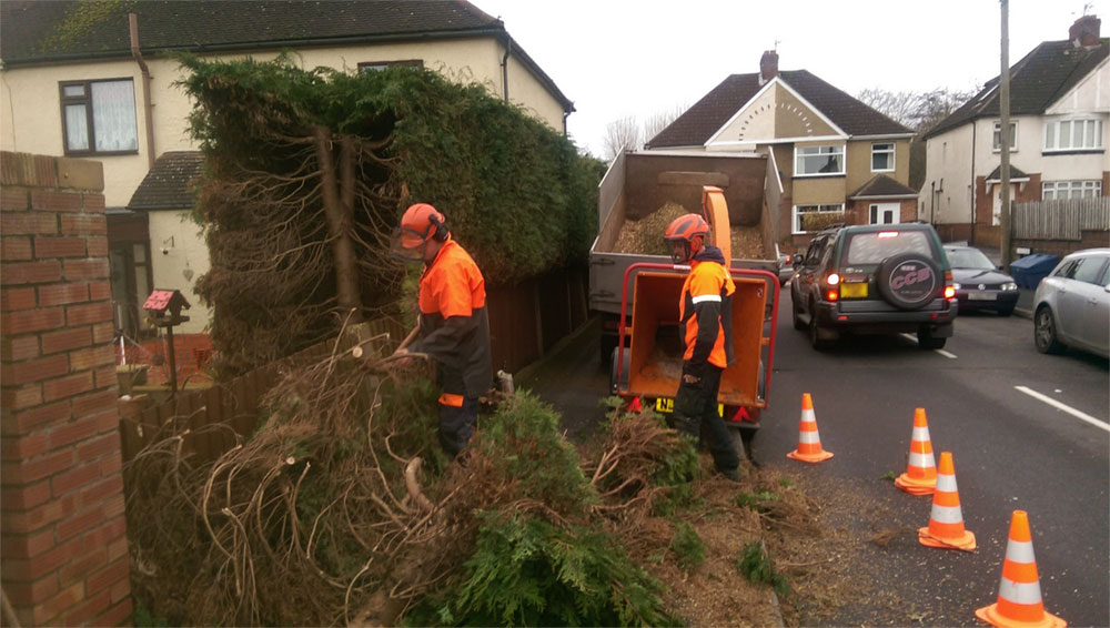 Tree Surgeons chipping branches